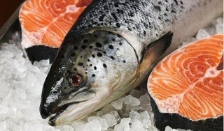 Những sai lầm khi ăn cá có thể rước họa vào thân
