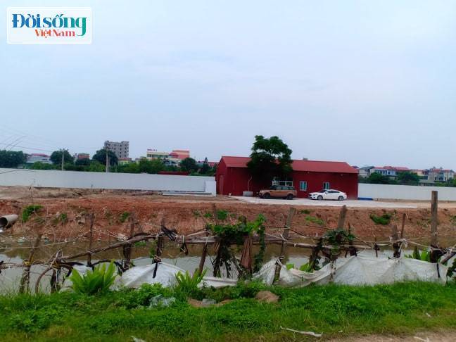 Bắc Ninh: Hàng loạt sai phạm tại dự án Khu nhà ở số 3 Long Châu?4