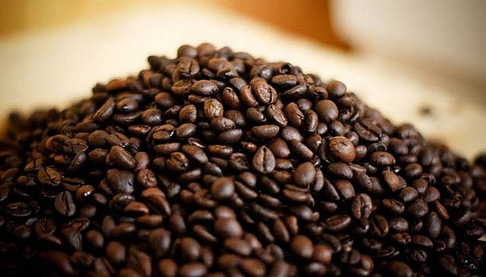 Giá cà phê hôm nay 1/8: Tiếp tục giảm thêm 200 đồng/kg