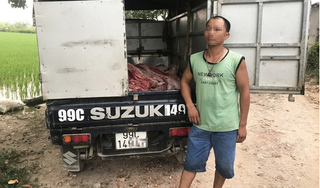 Hưng Yên: Bắt giữ ô tô chở gần 1 tấn thịt lợn chết đi tiêu thụ