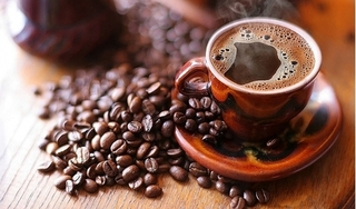 Giá cà phê hôm nay 31/8: Tăng phục hồi trở lại 200 đồng/kg