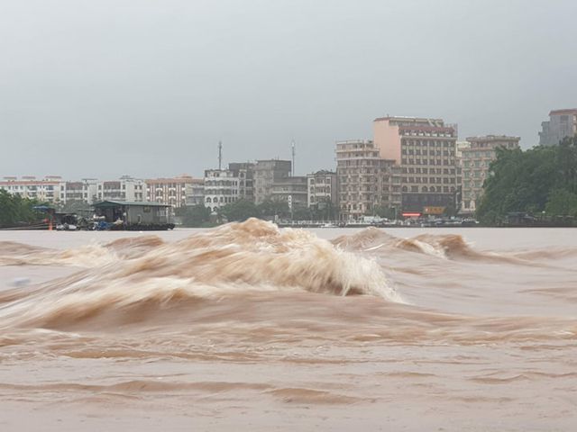 Hàng loạt cây to ở Hà Nội, Hải Phòng gãy đổ ngổn ngang sau bão số 3