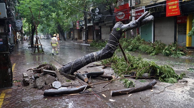 Hàng loạt cây to ở Hà Nội, Hải Phòng gãy đổ ngổn ngang sau bão số 3