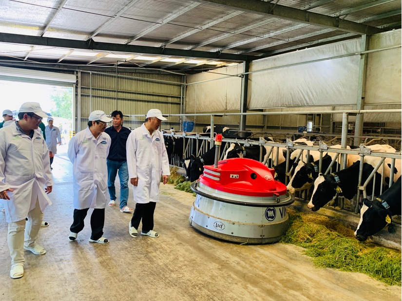 Vinamilk phối hợp xây dựng vùng chăn nuôi bò sữa an toàn dịch bệnh tại Tây Ninh