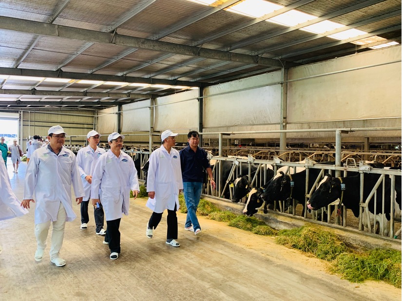 Vinamilk phối hợp xây dựng vùng chăn nuôi bò sữa an toàn dịch bệnh tại Tây Ninh