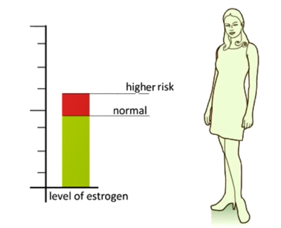 u xơ tử cung liên quan tới mức độ estrogen