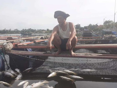 Hàng chục tấn cá chết bất thường ở Hà Tĩnh