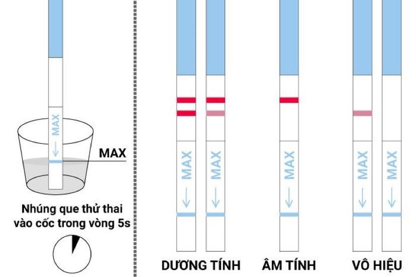 que thử thai để lâu lên 2 vạch