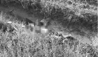 Nam Định: Tá hỏa phát hiện thi thể cụ ông dưới mương nước