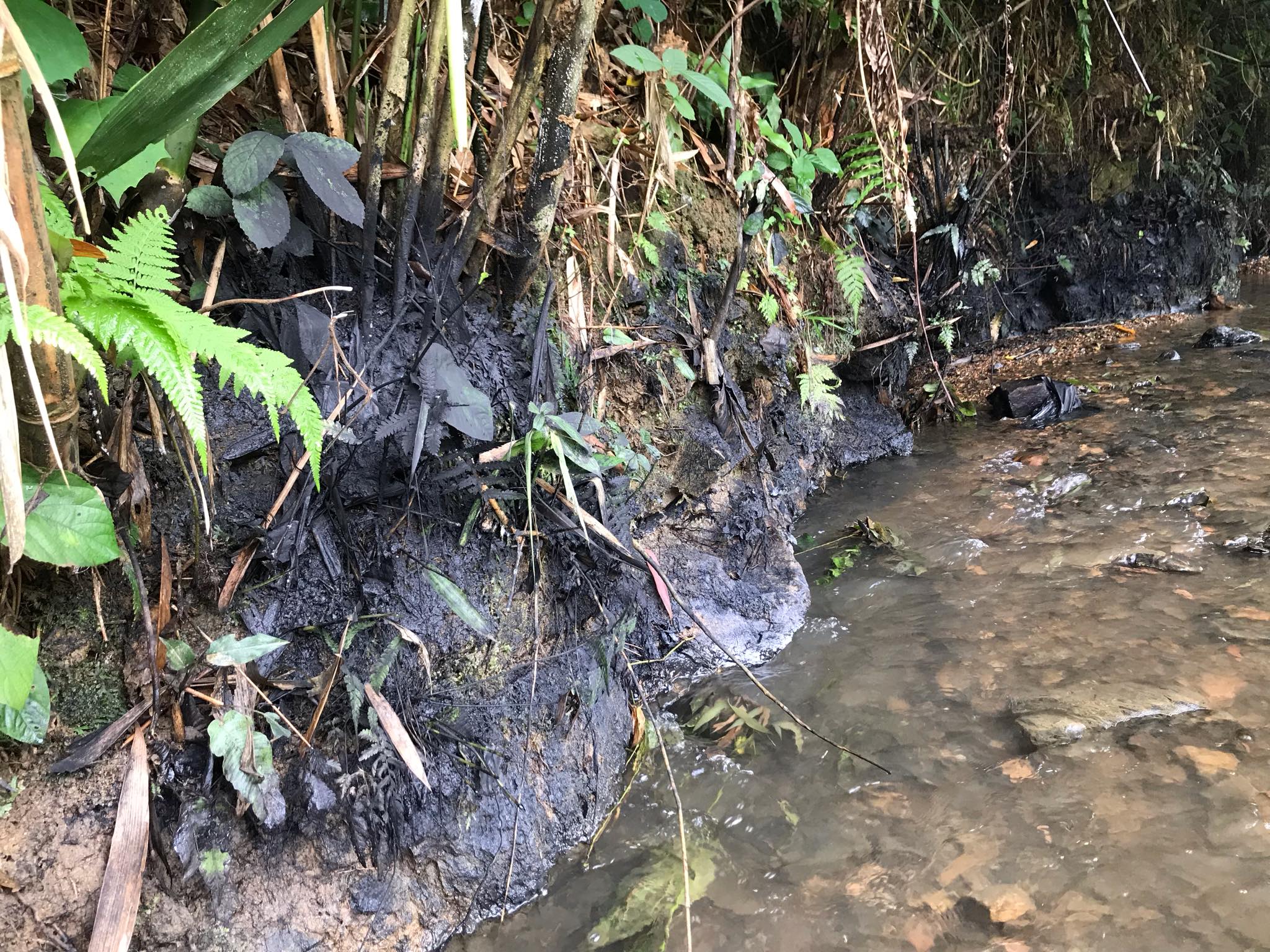 Cận cảnh sòng suối Trâm phủ kín dầu dẫn vào nhà máy nước Sông Đà