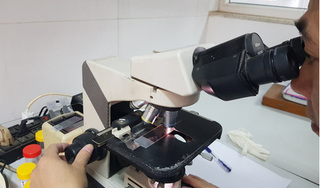 Bi hài vụ chồng lừa lấy phôi của vợ để giúp... bồ mang thai: Lỗi của ai? 