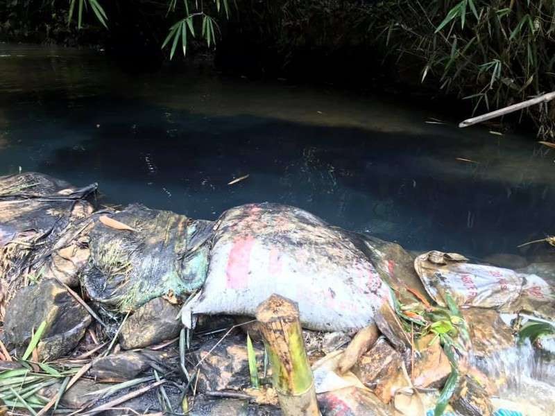 Vụ đổ dầu thải vào nguồn nước sông Đà: Triệu tập 2 đối tượng 