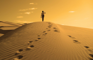 40 ngày băng sa mạc tìm bí mật hạnh phúc và câu trả lời bất ngờ