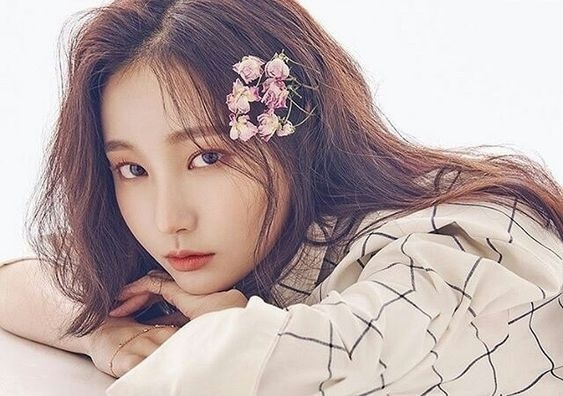 Tử vi 12 cung hoàng đạo ngày 29/10/2019 của Bạch Dương (21/3 – 19/4)