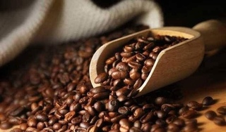 Giá cà phê hôm nay 13/11: Cao nhất ở mức 33.600 đồng/kg