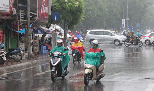 Tin tức 24h thời sự nóng nhất, mới nhất trong ngày 4/11/2019