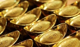 Giá vàng hôm nay 7/11: Giá vàng tăng trở lại