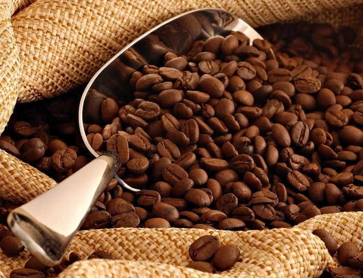 Giá cà phê hôm nay 23/11: Giảm nhẹ 100 đồng/kg