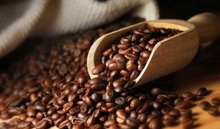 Giá cà phê hôm nay 13/12: Giữ nguyên mức giảm của ngày hôm qua