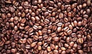 Giá cà phê hôm nay 21/12: Tăng nhẹ phục hồi 100 đồng/kg