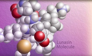 Hội thảo khoa học 'Công bố kết quả nghiên cứu về hoạt chất Lunasin chiết xuất từ Soy Protein hỗ trợ điều trị ung thư phổi'