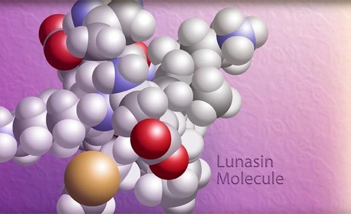 Kết quả nghiên cứu về hoạt chất Lunasin chiết xuất từ Soy Protein