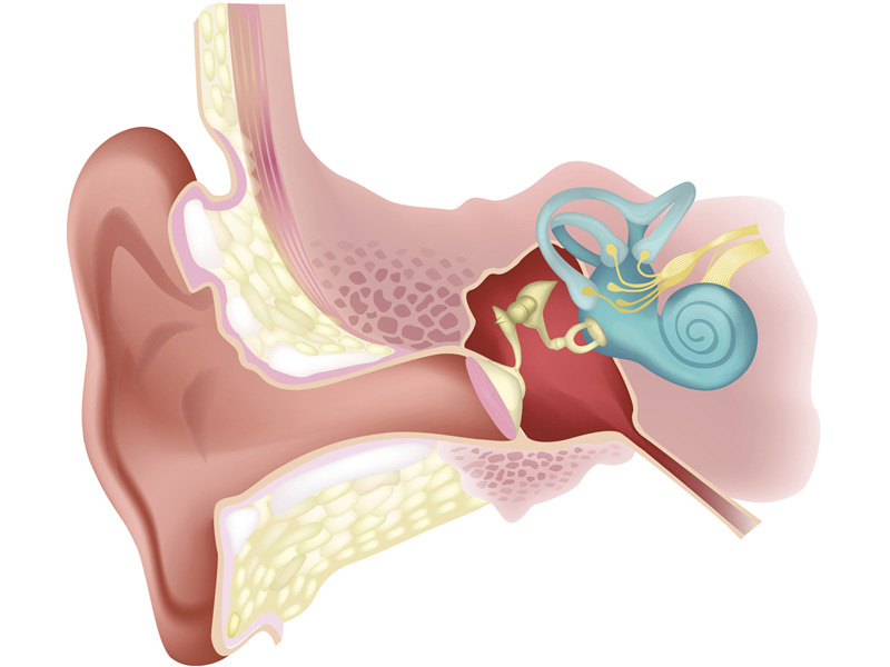 rối loạn tiền đình