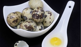 Vô vàn lợi ích cho sức khỏe từ trứng cút 