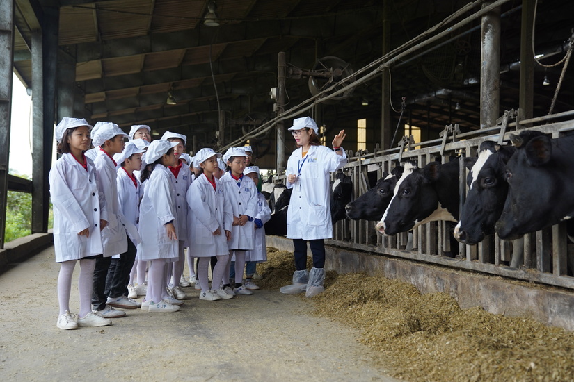 Một ngày trải nghiệm vui vẻ của các em nhỏ tại trang trại bò sữa Organic TH 8