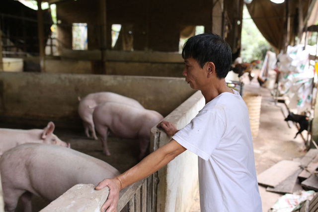 Thịt lợn giảm giá, người dân vẫn méo mặt vì nhiều mặt hàng tăng giá đầu năm mới