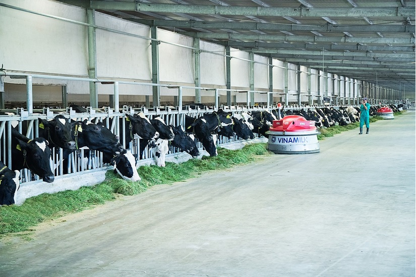 Vinamilk sở hữu 75% GTNFoods, chính thức tham gia quản lý Mộc Châu Milk