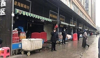 Bộ Y tế chỉ đạo kiểm soát chặt, tránh virus lạ lây qua cửa khẩu 