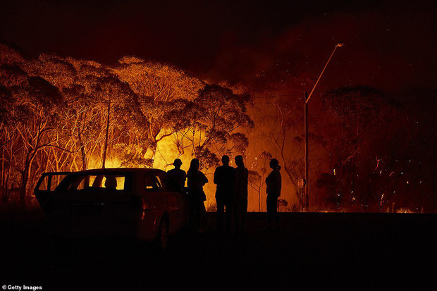 Nhói lòng nhìn nước Úc chìm trong đại thảm họa cháy rừng, nửa tỉ động vật đã chết