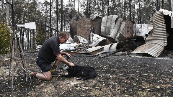 Nhói lòng nhìn nước Úc chìm trong đại thảm họa cháy rừng, nửa tỉ động vật đã chết
