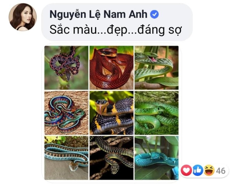 Chị gái Nam Em thả ảnh rắn độc vào Facebook Bảo Trân