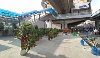 Nhà ga đường sắt Cát Linh - Hà Đông bị chiếm dụng làm nơi bán cây cảnh
