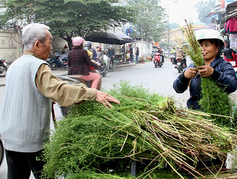 Tắm lá mùi già ngày cuối năm rất tốt tuy nhiên vẫn có những người tuyệt đối không dùng 2