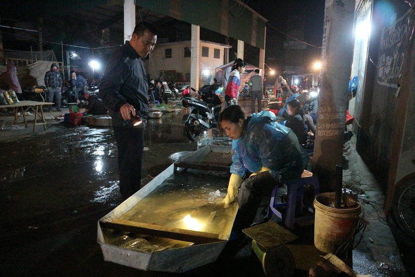 Kỳ thú tục 'tết cá' có 'một không hai' ở Hà Nội