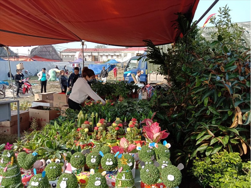 Chợ Viềng Nam Định 'bán rủi, mua may' đông đúc tấp nập trước giờ khai hội
