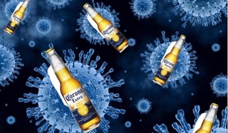 Nhiều người nhầm virus corona với 1 loại bia cùng tên