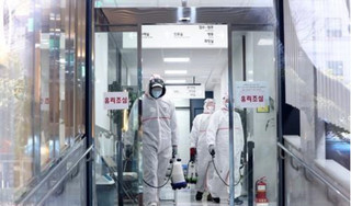 Hàn Quốc tăng vọt lên gần 900 ca nhiễm Covid-19