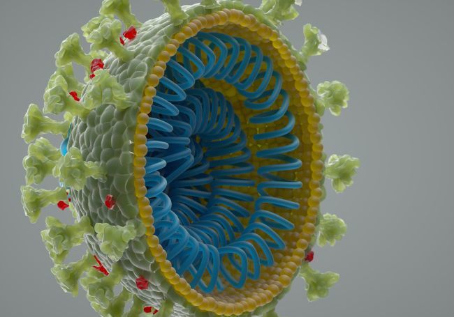 Thêm bằng chứng khẳng định nguồn gốc của virus Corona gây đại dịch Covid-19