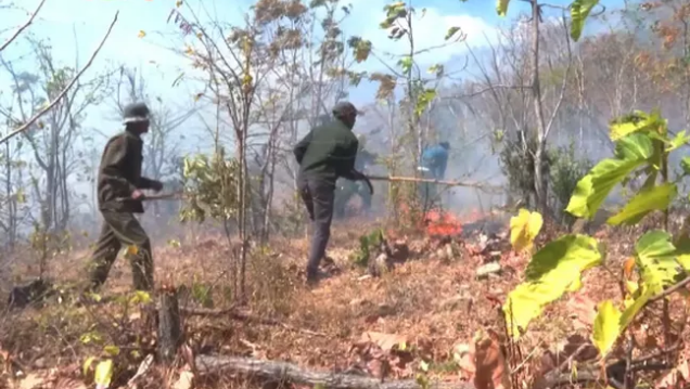 Cảnh báo cháy rừng ở Nam Bộ