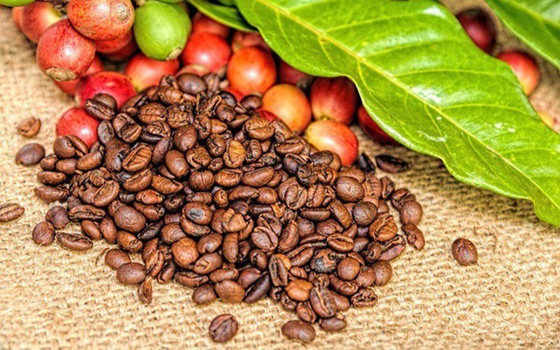 Giá cà phê hôm nay ngày 30/3: Xuống trong khung 29.500 – 29.800 đồng/kg.