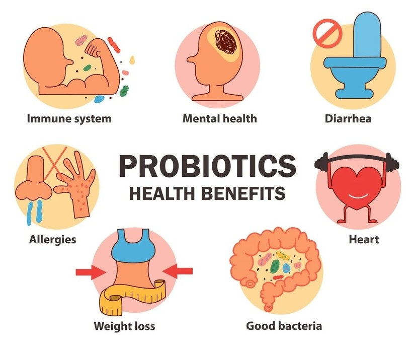 những thực phẩm giàu probiotics