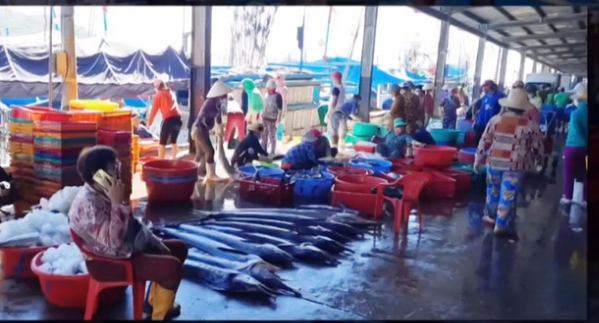 Khánh Hòa: Hàng trăm ngư dân vẫn tụ tập mua bán ở cảng cá