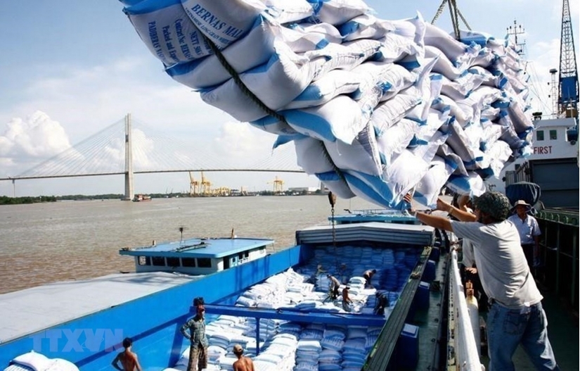 Tin tức trong ngày 11/4, Thủ tướng đồng ý cho xuất 400.000 tấn gạo trong tháng 4