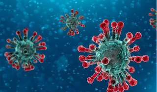  6 chủng virus mới có họ hàng với virus corona