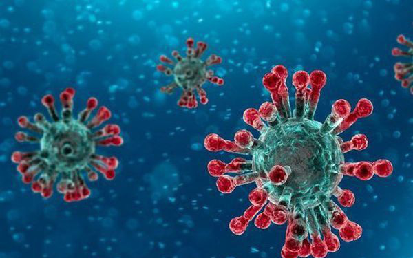  6 chủng virus mới có họ hàng với virus corona