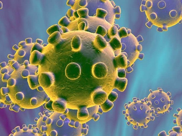 Virus corona có thể sống sót ở nhiệt độ trên 60°C